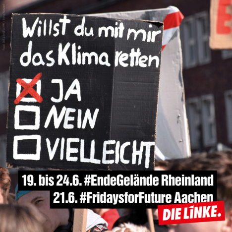 2019_Klimaproteste.png