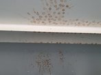Flecken an der Decke